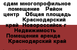 сдам многопрофильное помещение › Район ­ центр › Общая площадь ­ 60 - Краснодарский край, Новороссийск г. Недвижимость » Помещения аренда   . Краснодарский край